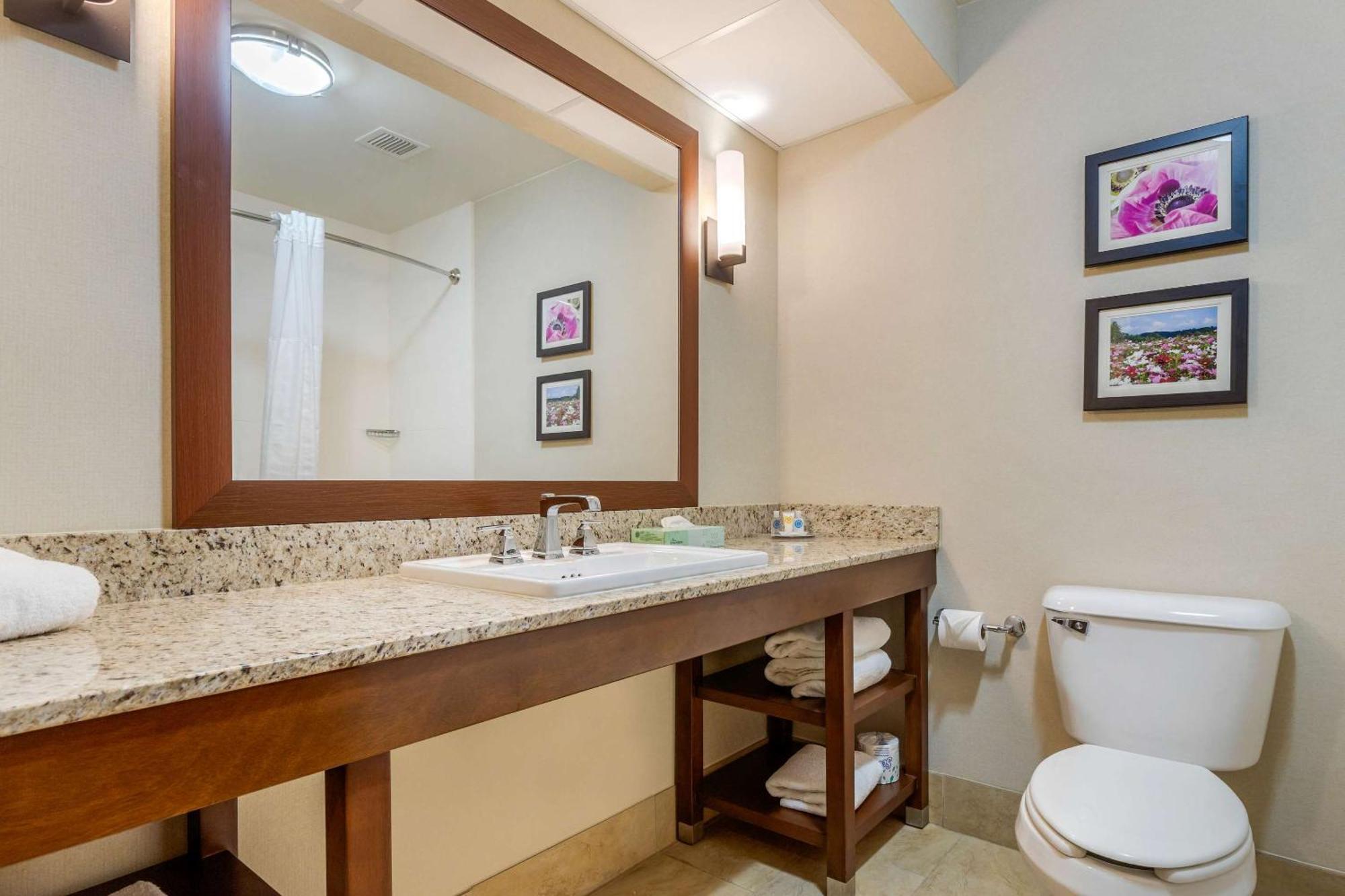 Comfort Suites Gastonia - Charlotte Kültér fotó